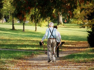 Број старијих од 65 година одавно премашио број млађих од 15 – страхујемо ли шта ће попис показати