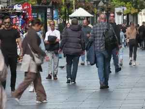 Пописивачи на терену, најбитније да се дође до сваког становника