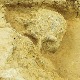 У Кини откривена човечја лобања стара милион година