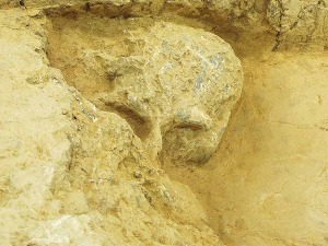 У Кини откривена човечја лобања стара милион година