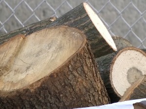 Тешко до пелета, прорадило и црно тржиште