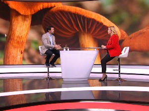 Печурке без декларације опасност по живот, тровање може довести у ред за трансплантацију