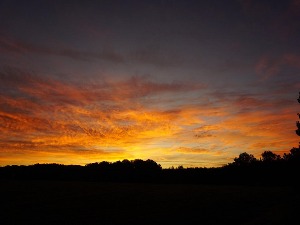 Ритам раног јутра