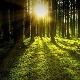 Јутро хладно, дан сунчан – температура до 24 степена