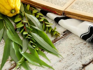 Почиње Сукот, седмодневни јеврејски празник