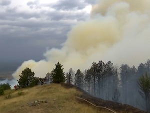 Да у свет не извозимо стручњаке, већ њихове патенте