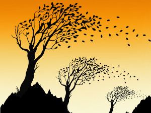  Добро јутро децо: У загрљају ветра 