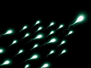 Да ли сте знали да сперматозоиди „памте“ догађаје из живота мушкарца, то може утицати на потомство 