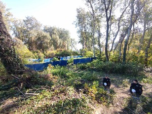 Протест у Новом Саду због градње моста преко Дунава, приведено више активиста