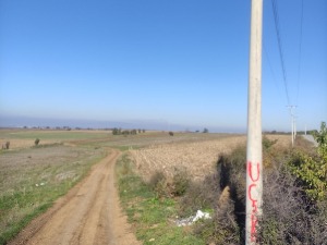 Графит УЧК у селу Сушица, Канцеларија за КиМ упозорава да се застрашује српски народ