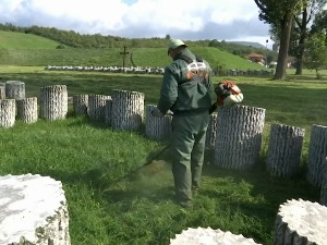 Ристић: Однос према местима страдања застрашујући, деценијама смо неговали културу заборава 
