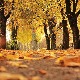 Летње температуре крајем октобра