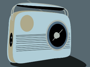 Радиозофирање: Понашање, 1. део 