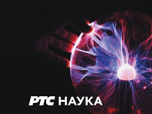 Савин врт: 	 Животни пут