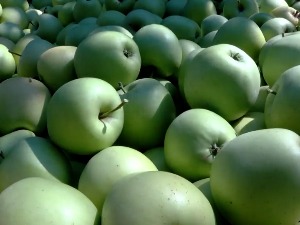  Шта мучи белоцркванске воћаре?