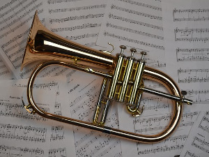 Водимо вас на концерт