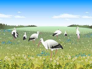  Добро јутро децо: Мартина рођенданска жеља 