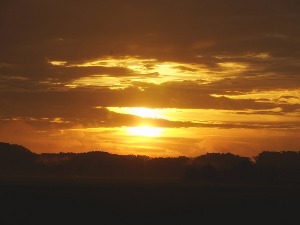 Ритам раног јутра