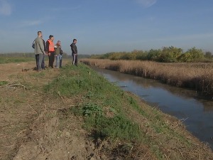 Ко је крив што воде нема у панчевачком Дунавцу, угрожене врсте мењају станиште