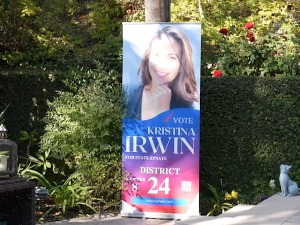 Кристина Ирвин у борби за место сенатора у Калифорнији