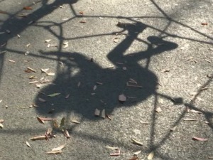 Која је казна за пребијање деце, из Центра за социјални рад објашњавају на случају Гроцка 