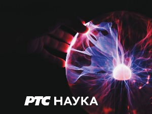 Тајне дивљег цвећа:  Под сунцем