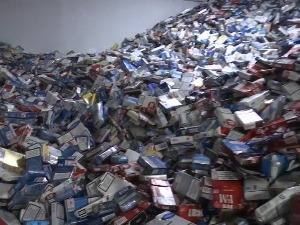 Еколошка читанка крије причу ширу од очувања планете