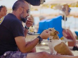 На одмор са кућним љубимцем, Италијани обожавају псе и мачке