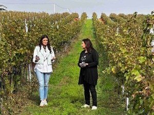 Знање имање- 23.10.2022.