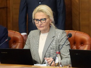 Мишчевић: Нема одустајања од заједничке политике са ЕУ