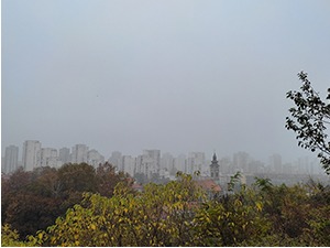 Кошава помогла да Београђани мало продишу