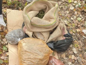 Заплењено 24 килограма марихуане код Ђуниса, ухапшена једна особа