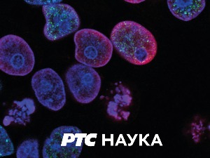 Наука 2022:	 Теслине визије будућности