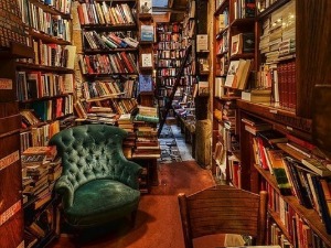 Предраг Крстић: Просветитељска критика