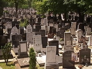 У Београду цвета црно тржиште гробних места – ко и где продаје земљу за сахрањивање