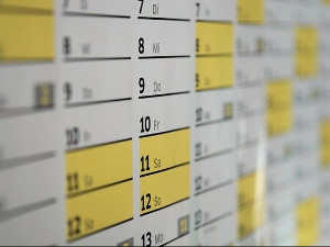 15. новембар