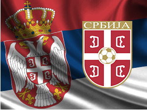 Дневник; Конференција за новинаре фудбалске репрезентације Србије