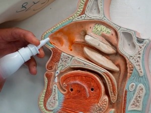 Српски научник развија назалну вакцину против коронавируса