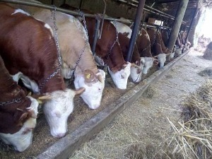 Знање имање- 30.10.2022.