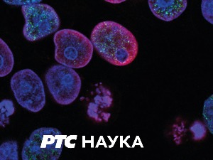 Насиље на интернету, 6. емисија