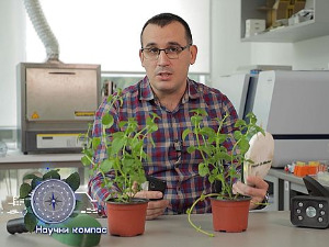 Научни компас: Доктор за биљке