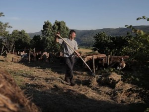 Сасвим природно- Несаломиви 4.део