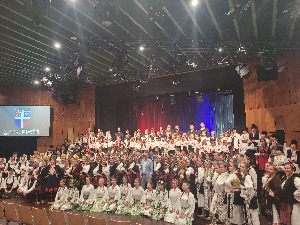 Концерт ансамбла "Станислав Бинички" у Франкфурту на Мајни поводом Дана примирја