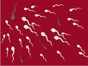 Број сперматозоида у константном паду – прети ли човечанству репродуктивна криза