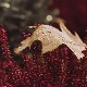 Киша и ветар у среду, температура до 17 степени