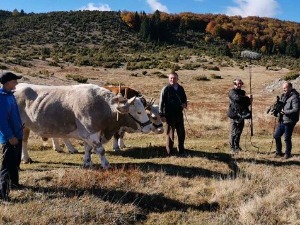 Знање имање- 7.11.2021.