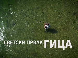 Сасвим природно-Светски првак Гица 2.део