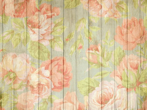  Радио драма: Дивља ружа, 3. део 