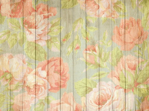 	Радио драма: Дивља ружа, 4. део