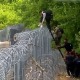 Србија, Мађарска и Аустрија против илегалних миграција – да ли је у рукама наше земље "врућ кромпир"